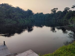 aguas negras