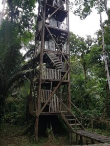 birdwatching tower