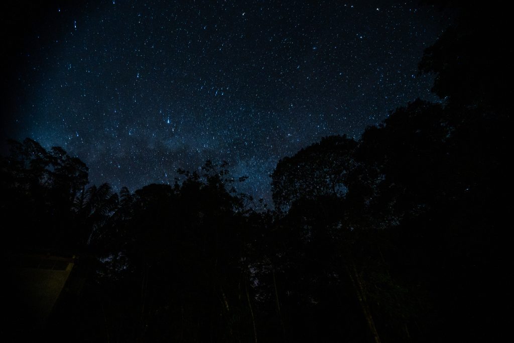 cuyabeno reserve 2