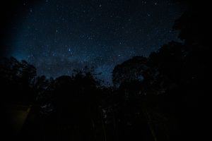 cuyabeno reserve 2