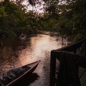 journey to the amazon